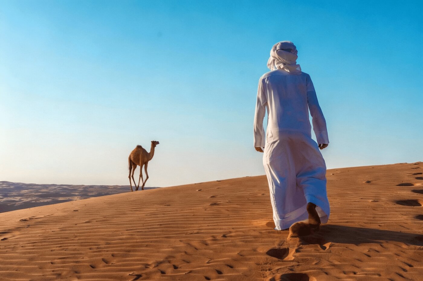 Read more about the article Saudi-Arabien Visum für Deutsche: e-Visum und Visa on Arrival im Vergleich – jetzt Express beantragen